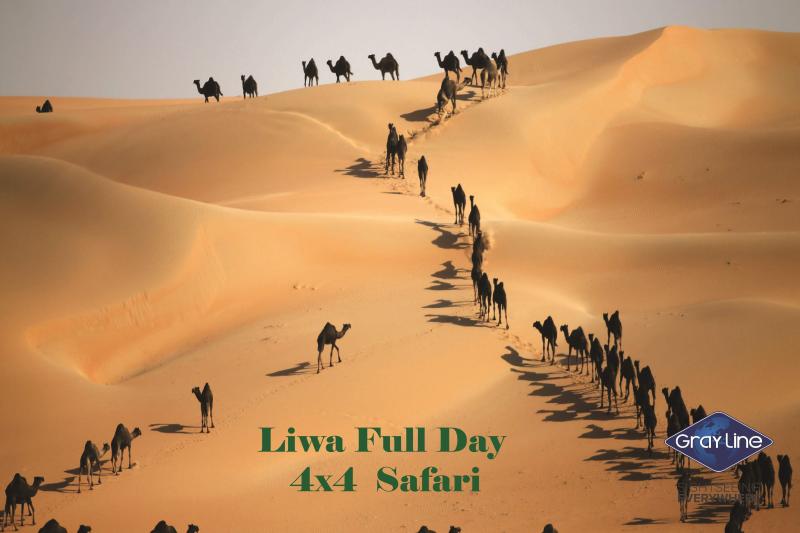Liwa Full Day 4x4 Safari from Abu Dhabi - Private service